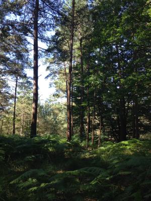 photo-15-08-2016-11-54-46