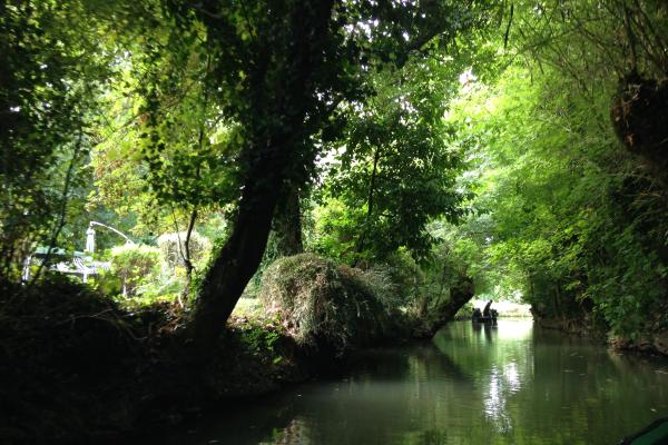 Photo de couverture pour Jour 13 - Les Marais Poitevins et Cognac
